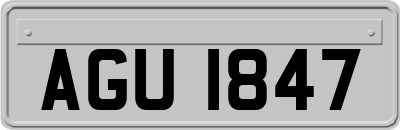 AGU1847