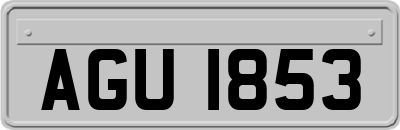 AGU1853