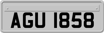 AGU1858