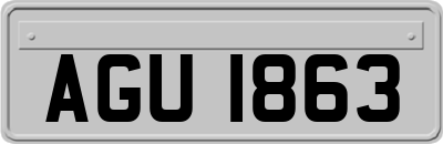 AGU1863
