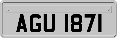 AGU1871