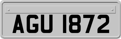 AGU1872