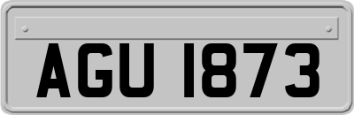 AGU1873