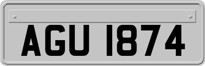 AGU1874