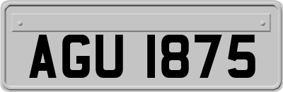 AGU1875