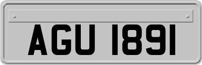 AGU1891