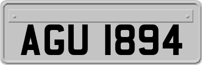 AGU1894