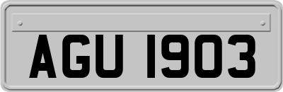 AGU1903