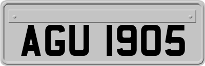 AGU1905