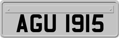 AGU1915