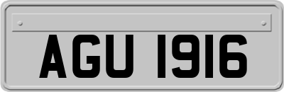AGU1916