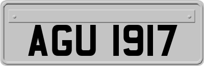 AGU1917