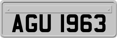 AGU1963