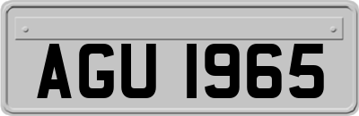 AGU1965