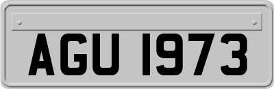 AGU1973