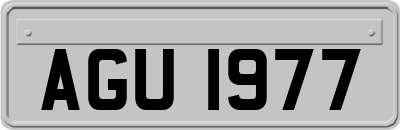 AGU1977