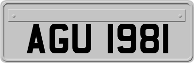 AGU1981