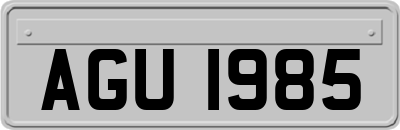 AGU1985