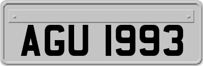AGU1993