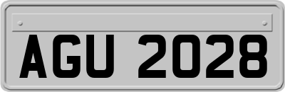 AGU2028