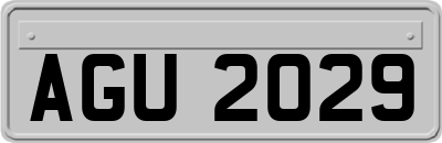 AGU2029