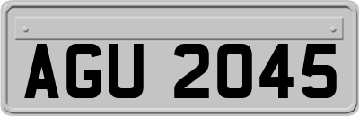 AGU2045