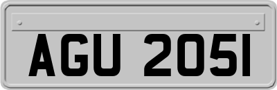 AGU2051