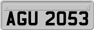 AGU2053