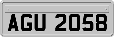 AGU2058