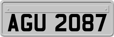 AGU2087