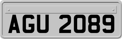AGU2089