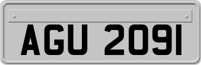 AGU2091