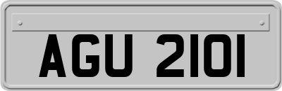 AGU2101