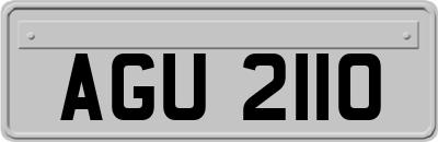 AGU2110