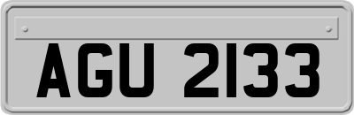 AGU2133