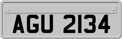 AGU2134