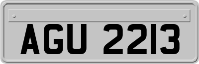 AGU2213
