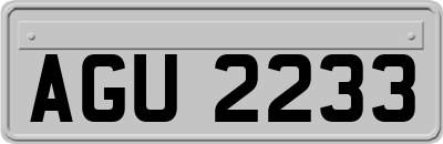 AGU2233
