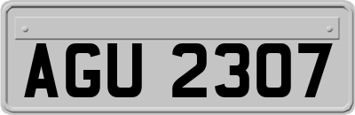 AGU2307