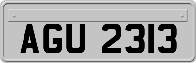 AGU2313