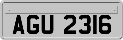 AGU2316