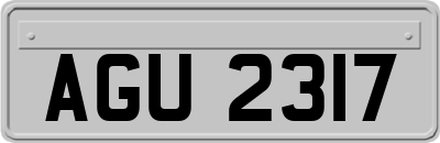 AGU2317