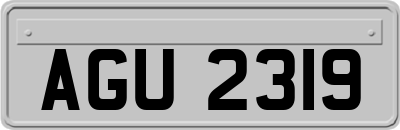 AGU2319