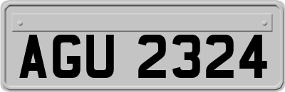 AGU2324