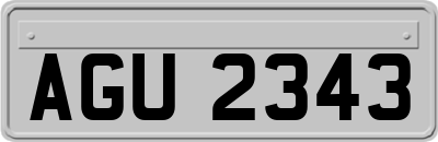 AGU2343