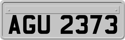 AGU2373