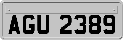 AGU2389