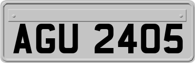 AGU2405
