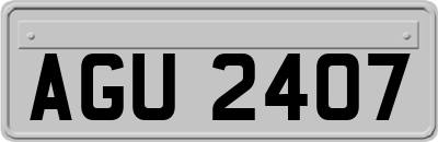 AGU2407