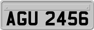 AGU2456